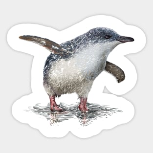 Penguin Baby Sticker